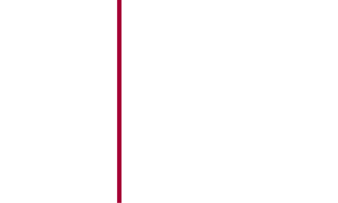 renal disease research institute logo white with red line